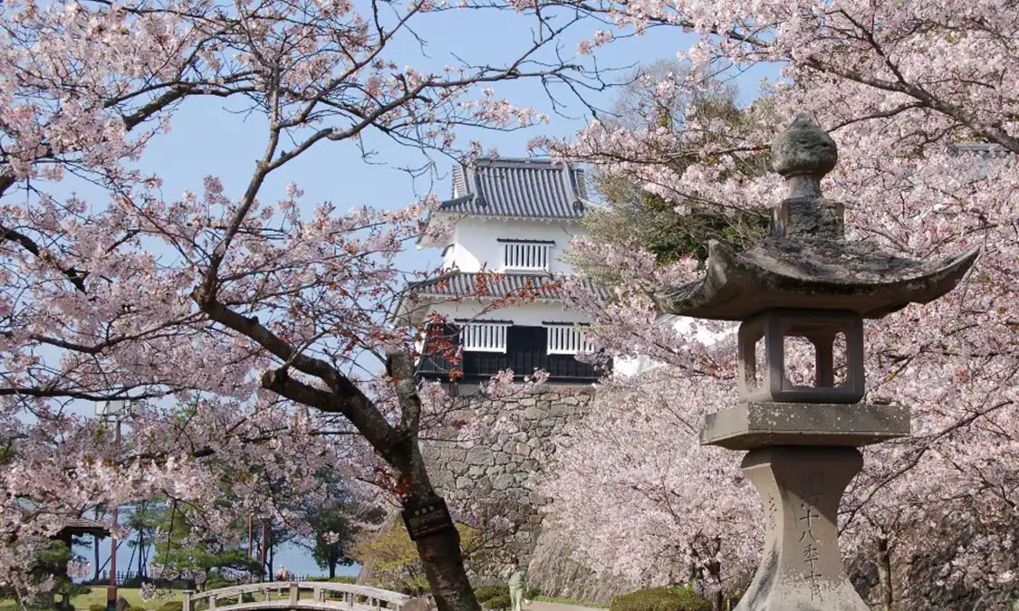 🌸 오무라 공원 이미지 1